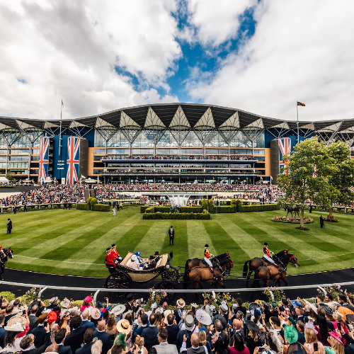 Punter's Preamble - 2025 Royal Ascot