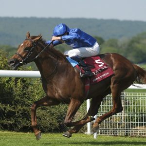 Punter's Preamble - 2025 July Cup Weekend